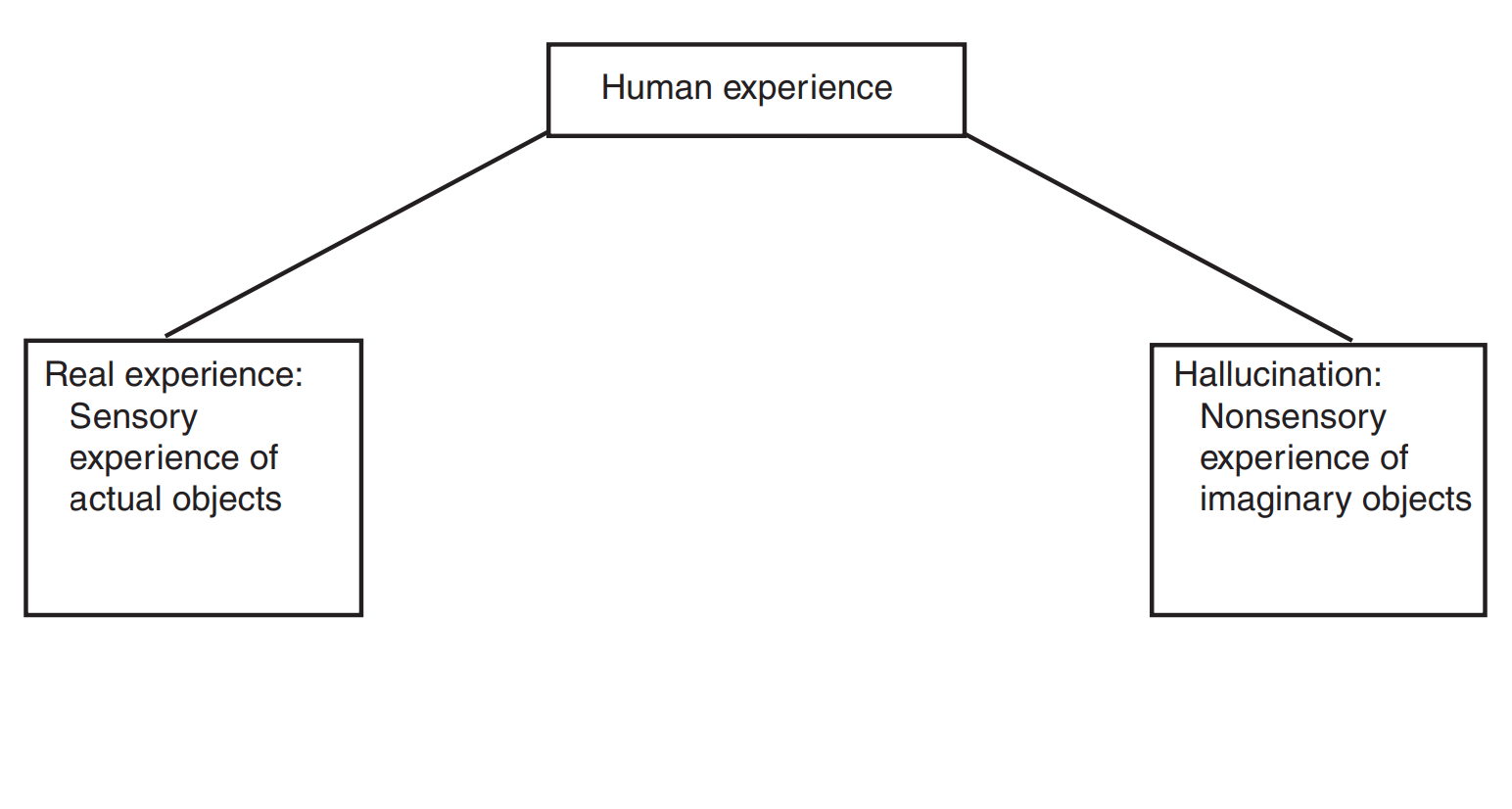 lee2004_fig1_no-vr.png